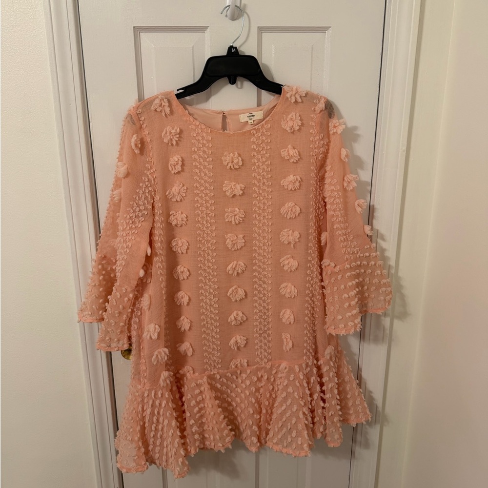 Entro Blush Floral Textured Dress